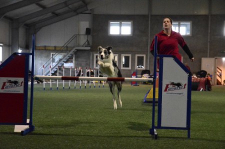 Onderlinge wedstrijd Dogwood
