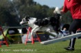 /album/fotogallerij/rf470835-225-jpg/