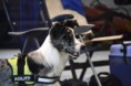 /album/fotogallerij/foto-f4jxmh3r-jpg/