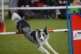 /album/fotogallerij/foto-v7a7jdxf-jpg/