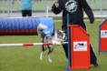 /album/fotogallerij/foto-ycni8op4-jpg/
