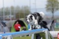 /album/fotogallerij/foto-6kspshke-jpg/