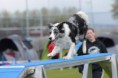 /album/fotogallerij/foto-sn37pajt-jpg/