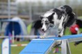 /album/fotogallerij/foto-6wcovv6c-jpg/